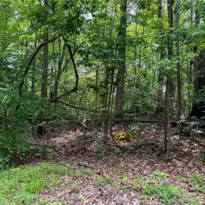 Photo #30 of 144 Jones, Winston-Salem, NC 1.9 acres