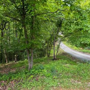 Photo #35 of 144 Jones, Winston-Salem, NC 1.9 acres