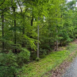 Photo #31 of 144 Jones, Winston-Salem, NC 1.9 acres