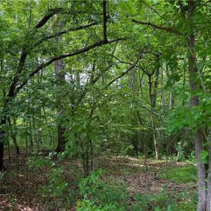 Photo #8 of 144 Jones, Winston-Salem, NC 1.9 acres
