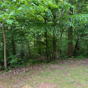Photo #25 of 144 Jones, Winston-Salem, NC 1.9 acres