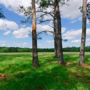 Photo #3 of 1840a US Highway 1, Cameron, NC 7.0 acres