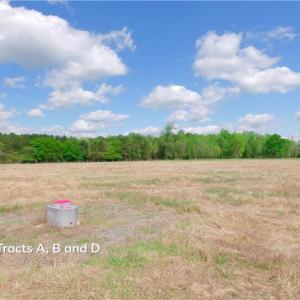 Photo #3 of 1840b US highway 1, Cameron, NC 11.4 acres