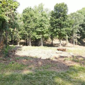 Photo #5 of NC Highway 42, Asheboro, NC 9.0 acres