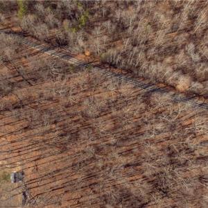 Photo #7 of 202 Belle Arbor, Winston-Salem, NC 2.7 acres