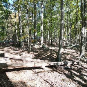 Photo #12 of 232 Sierra Trace, Denton, NC 8.5 acres