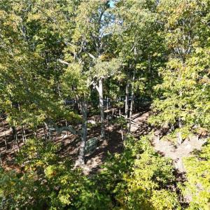 Photo #9 of 232 Sierra Trace, Denton, NC 8.5 acres