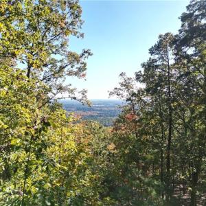 Photo #10 of 232 Sierra Trace, Denton, NC 8.5 acres