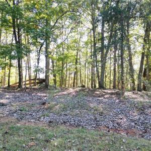 Photo #14 of 232 Sierra Trace, Denton, NC 8.5 acres