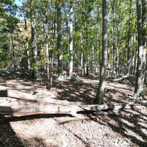 Photo #15 of 232 Sierra Trace, Denton, NC 8.5 acres