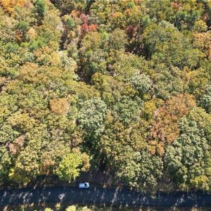 Photo #11 of 232 Sierra Trace, Denton, NC 8.5 acres