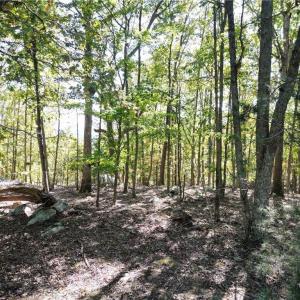 Photo #8 of 232 Sierra Trace, Denton, NC 8.5 acres