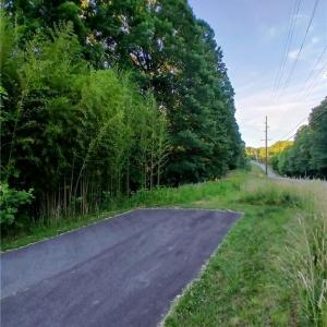 Photo #13 of 387 Egret, Lexington, NC 5.8 acres