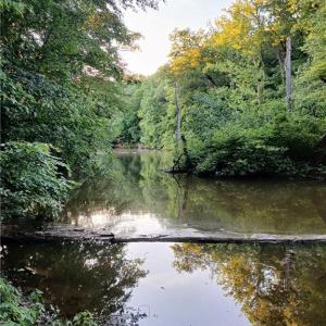 Photo #9 of 387 Egret, Lexington, NC 5.8 acres