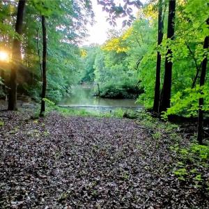 Photo #8 of 387 Egret, Lexington, NC 5.8 acres