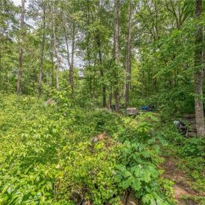 Photo #17 of 1514 Falcon, Gibsonville, NC 0.2 acres