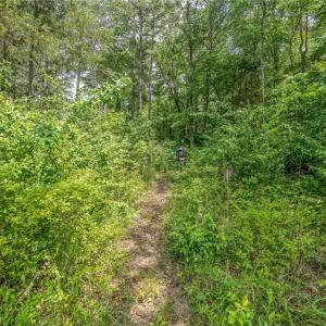 Photo #16 of 1514 Falcon, Gibsonville, NC 0.2 acres