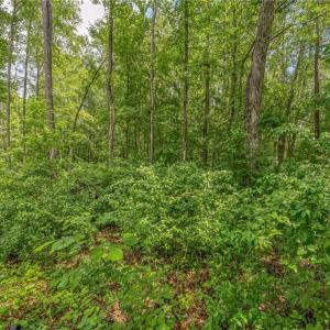 Photo #22 of 1514 Falcon, Gibsonville, NC 0.2 acres
