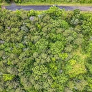 Photo #7 of 1514 Falcon, Gibsonville, NC 0.2 acres