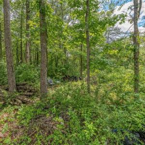 Photo #24 of 1514 Falcon, Gibsonville, NC 0.2 acres