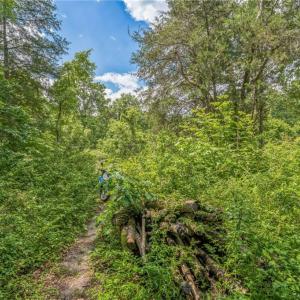 Photo #18 of 1514 Falcon, Gibsonville, NC 0.2 acres