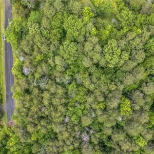 Photo #8 of 1514 Falcon, Gibsonville, NC 0.2 acres