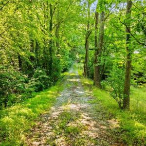 Photo #17 of 3138 Maple, Burlington, NC 5.0 acres