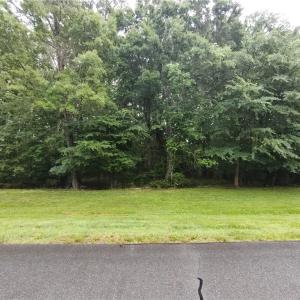 Photo #2 of 335 Healing Springs, Denton, NC 4.5 acres