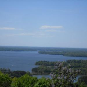 Photo #15 of 335 Healing Springs, Denton, NC 4.5 acres