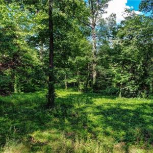 Photo #3 of 4204- A Henderson, Greensboro, NC 0.3 acres