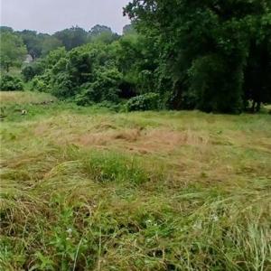 Photo #5 of 1409 Winston, Lexington, NC 2.1 acres