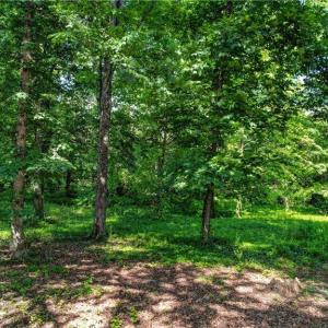 Photo #6 of 4204- B Henderson, Greensboro, NC 0.4 acres