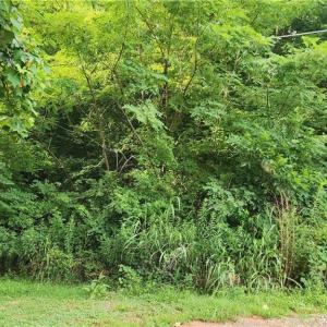 Photo #2 of 180 Buccaneer, Salisbury, NC 1.4 acres