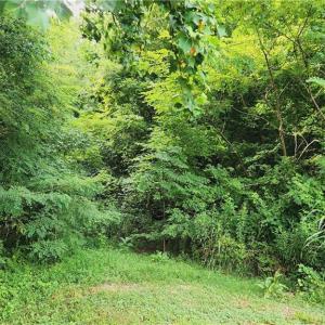 Photo #3 of 180 Buccaneer, Salisbury, NC 1.4 acres