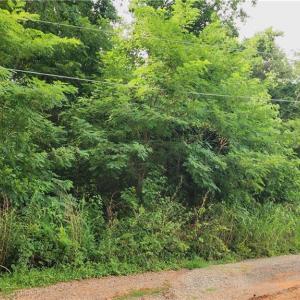 Photo #1 of 180 Buccaneer, Salisbury, NC 1.4 acres
