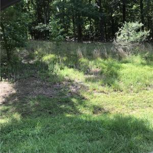 Photo #7 of 1919 Rocky Cove, Denton, NC 3.0 acres