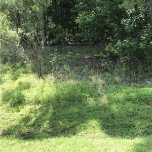 Photo #5 of 1919 Rocky Cove, Denton, NC 3.0 acres