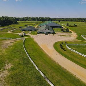 Photo #22 of 9167 Hasty, Laurinburg, NC 278.4 acres