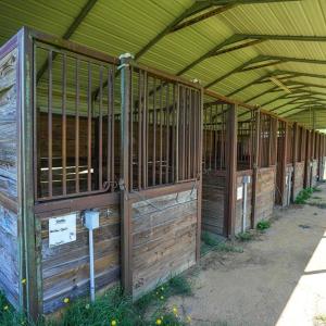 Photo #21 of 9167 Hasty, Laurinburg, NC 278.4 acres