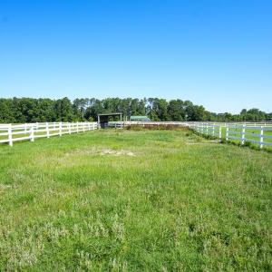 Photo #46 of 9167 Hasty, Laurinburg, NC 278.4 acres