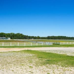 Photo #47 of 9167 Hasty, Laurinburg, NC 278.4 acres