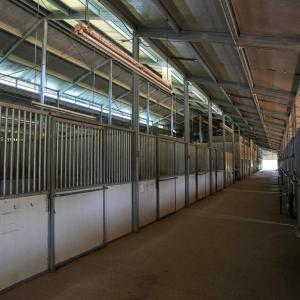 Photo #28 of 9167 Hasty, Laurinburg, NC 278.4 acres