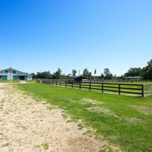 Photo #30 of 9167 Hasty, Laurinburg, NC 278.4 acres