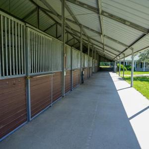 Photo #10 of 9167 Hasty, Laurinburg, NC 278.4 acres