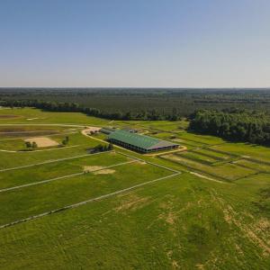 Photo #41 of 9167 Hasty, Laurinburg, NC 278.4 acres