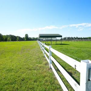 Photo #45 of 9167 Hasty, Laurinburg, NC 278.4 acres