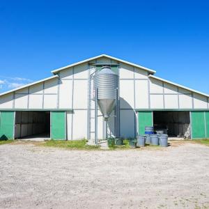 Photo #18 of 9167 Hasty, Laurinburg, NC 278.4 acres