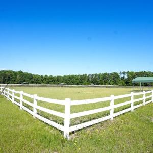 Photo #44 of 9167 Hasty, Laurinburg, NC 278.4 acres