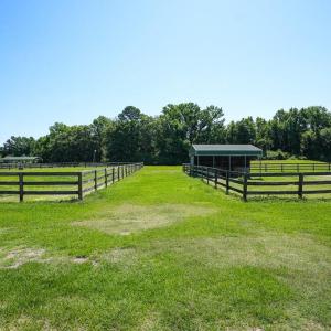 Photo #31 of 9167 Hasty, Laurinburg, NC 278.4 acres