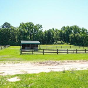 Photo #29 of 9167 Hasty, Laurinburg, NC 278.4 acres